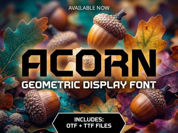 Acorn: The Bold Display Font for Impactful Branding